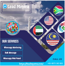 WhatsApp web panel_LeadMyntra